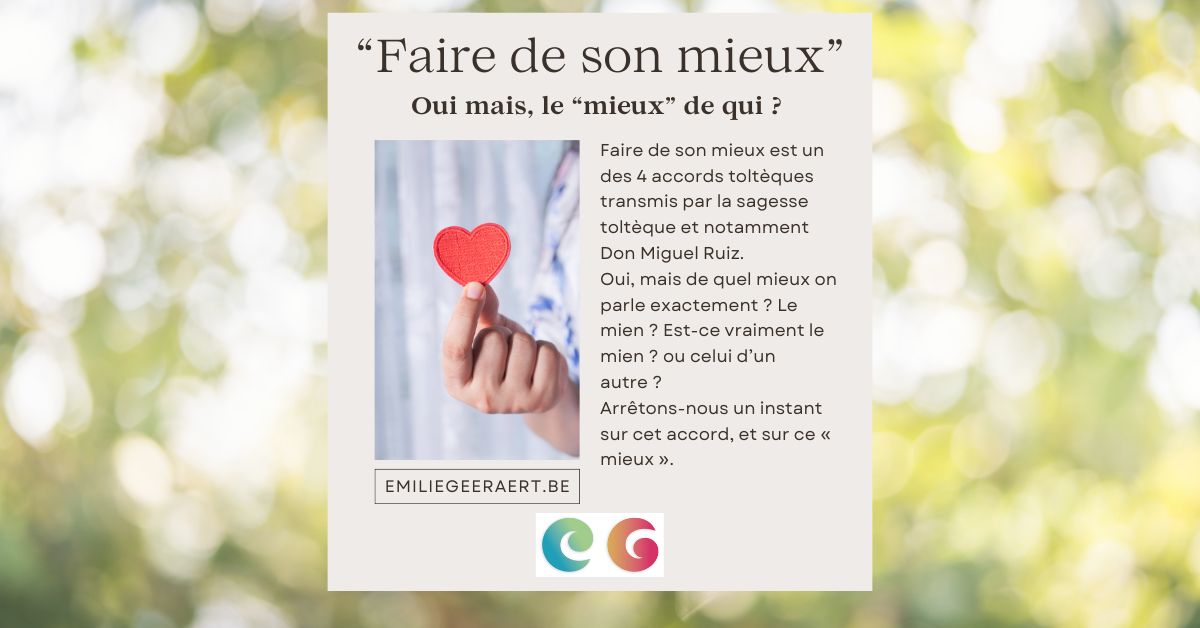 “Faire de son mieux” (Publicité Facebook) (1)